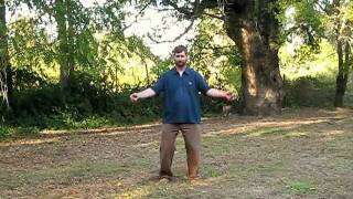 Taiji Qigong.AVI