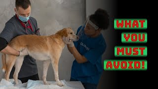 Transform Your Pet’s Health with These Simple Lifestyle Changes!