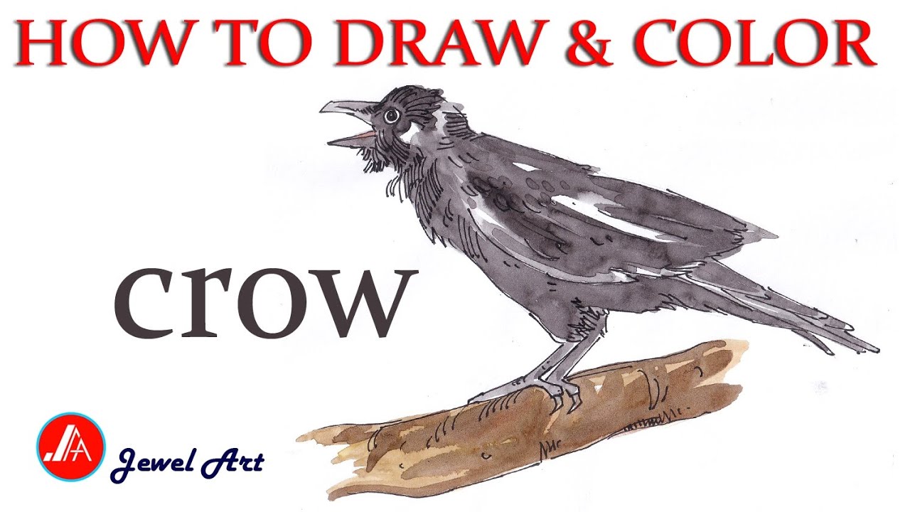 how to draw a crow by watercolor easy painted