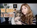 The Good and The Bad | Pet Updates