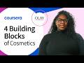 The Key Ingredients in Cosmetics Explained