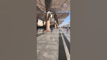 من أروع وأجمل الآيات وهدوء القرآن الكريم 🥹💙 #القارئ #عمران_مراد
