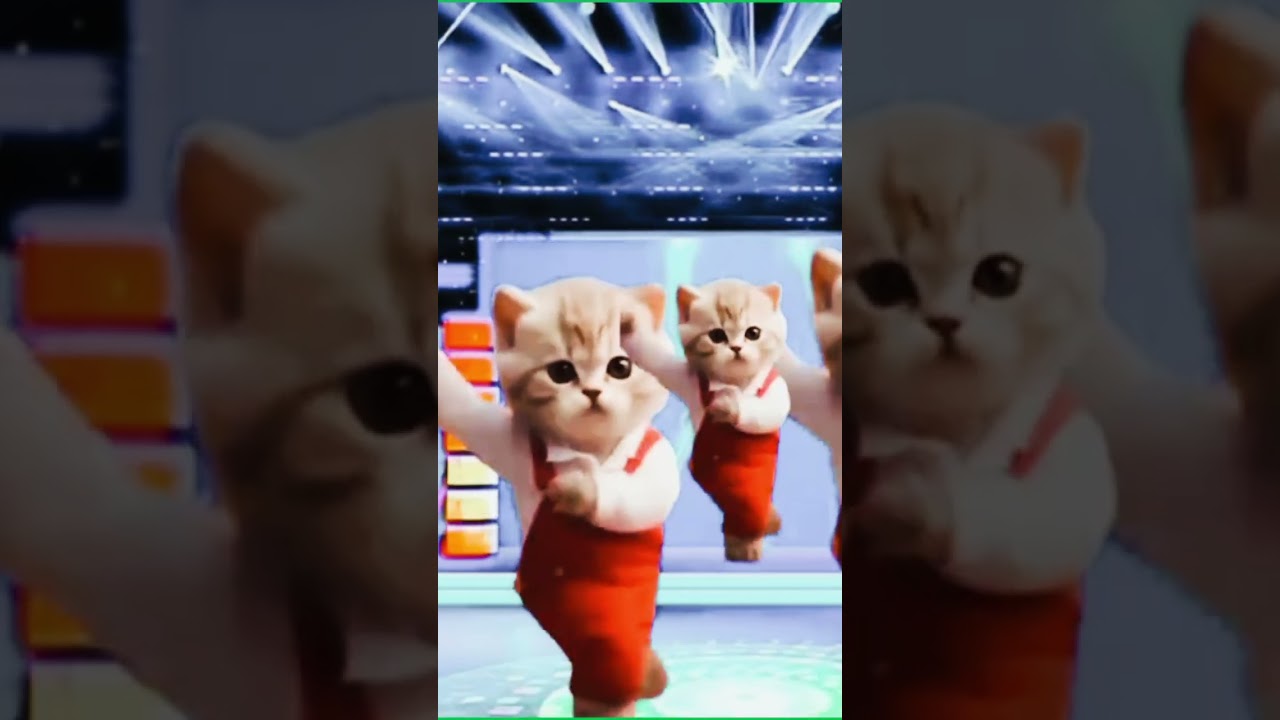 😁😃😃cute kitten 