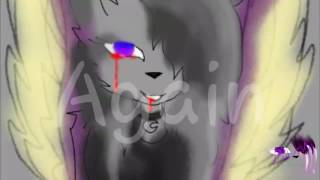 I am weak PMV Map | part. 3