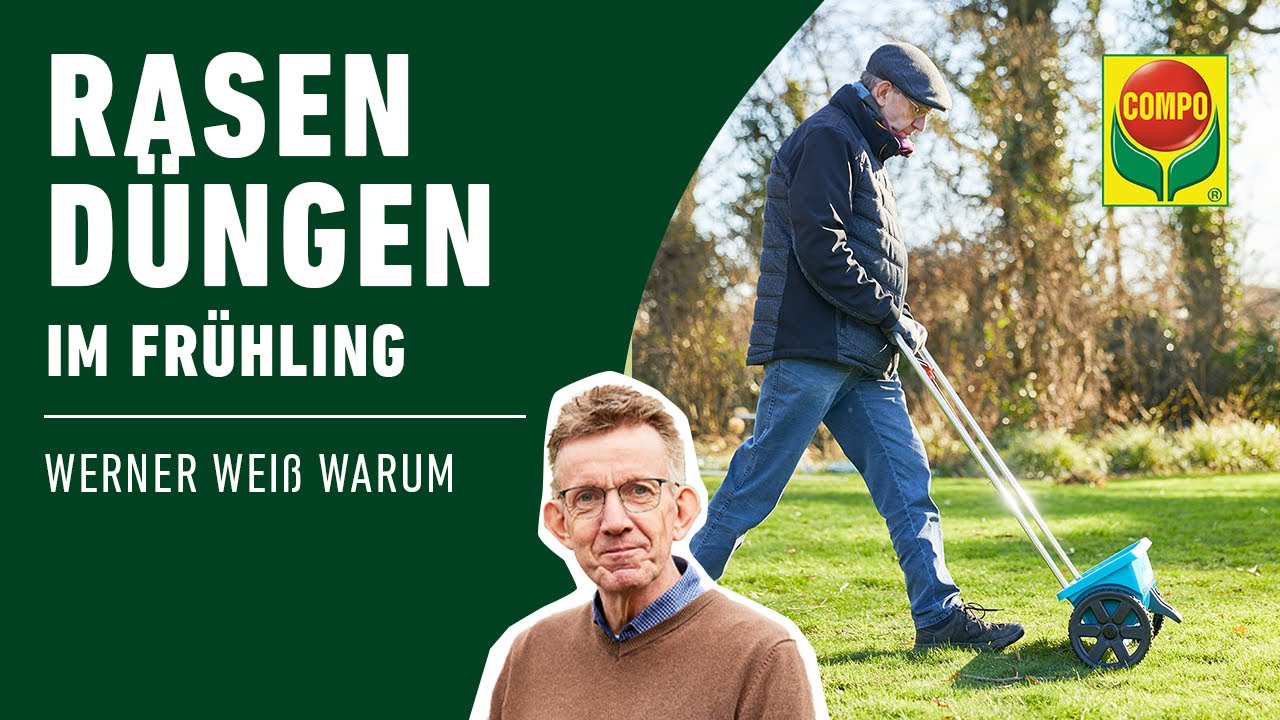 Rasen dngen im Frhjahr | COMPO