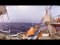 Fiska skrei - video i 360 grader