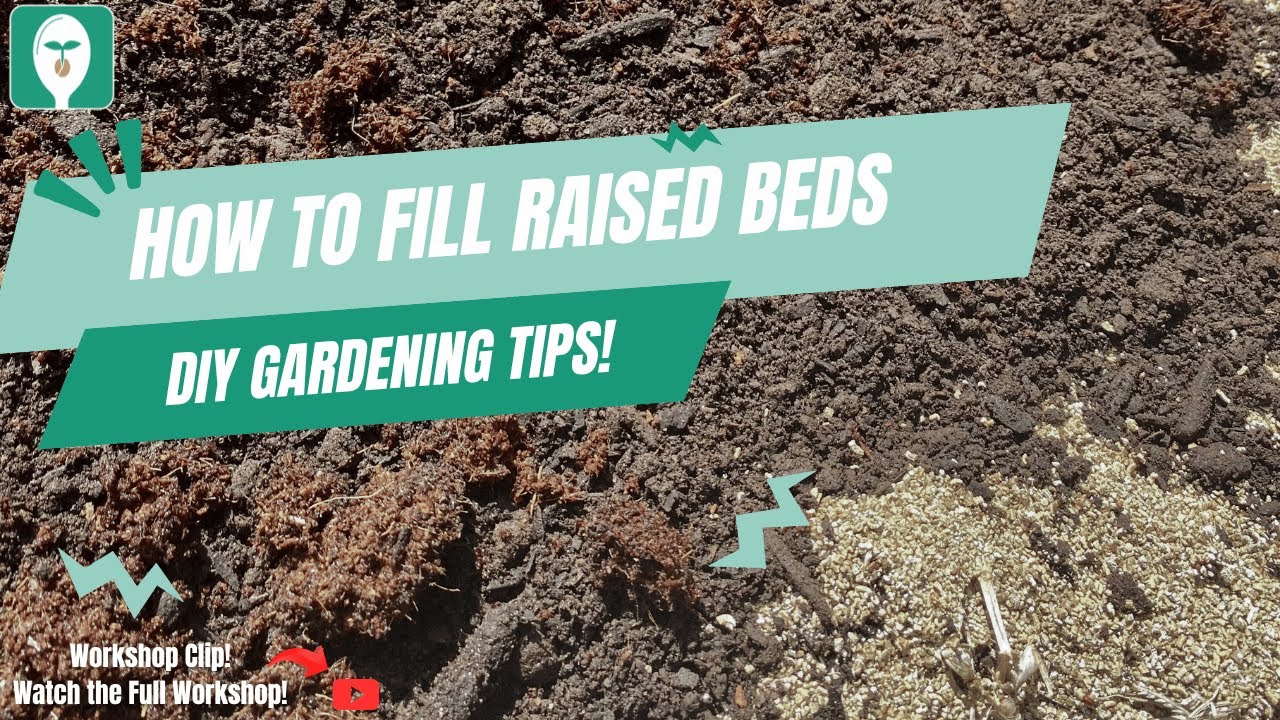 How to Fill Raised Beds: Soil Mix & Compost Tips 🌱 - YouTube