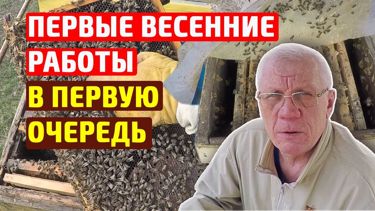 Грант на пасеку