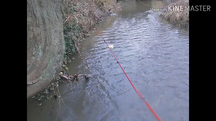 Mink and Muskrat Trapping- Bottom edge and Pocket sets