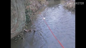 Mink and Muskrat Trapping- Bottom edge and Pocket sets