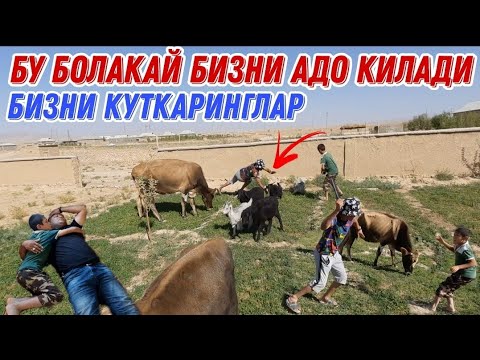 ШАББОНА ХАЁТИЙ ФИЛЬМ/ БОЛАКАЙ БИЗНИ УЛДИРАДИ ИЛТИМОС КУТКАРИНГЛАР 2021 (Охунов тв)