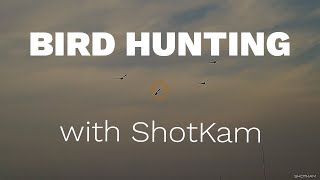 Bird Hunting | Filmed with ShotKam