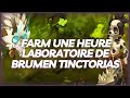 Dofus farm une heure la dsolation de sidimote  le donjon nelween 5  landes de sidimote