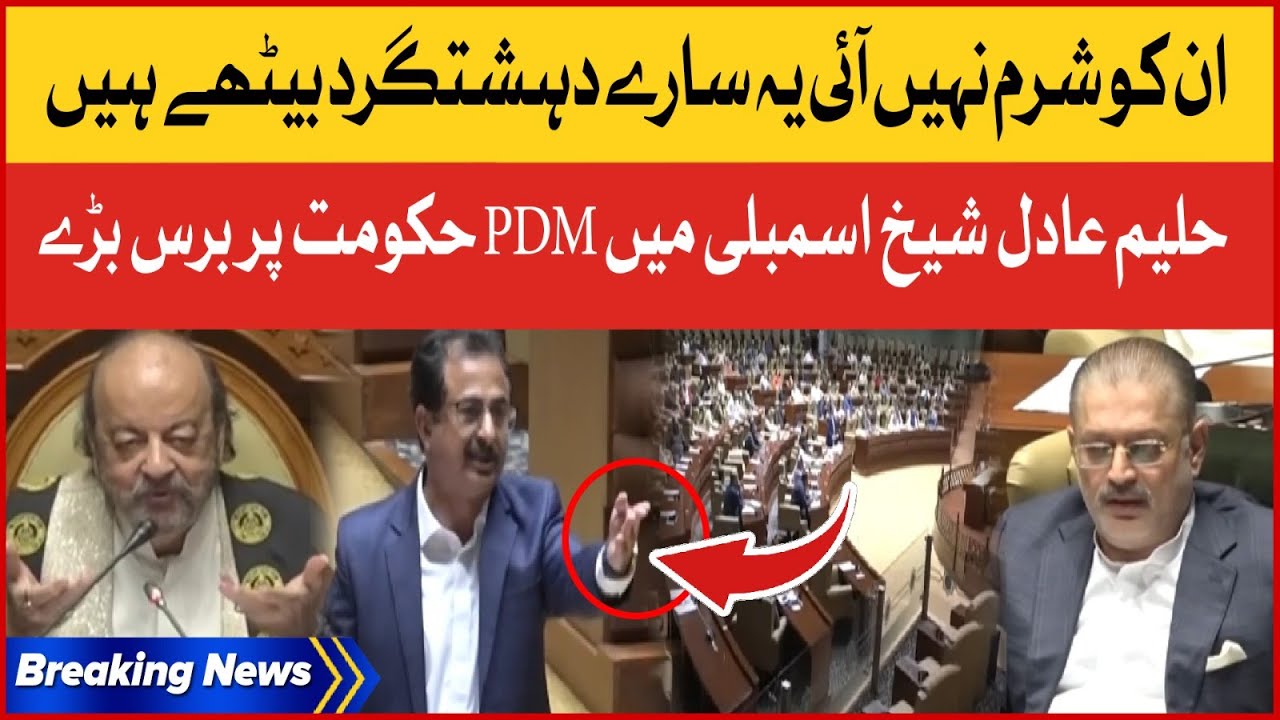 Haleem Adil Sheikh Criticize PDM Government | Sindh Assembly | Breaking News