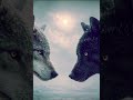 Nordic Viking Shamanic Music | Vargr: The Eternal Hunt | Epic Viking Music