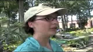 Mini Golf Challenge: Sunset Beach
