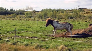 Arabic lesson 7 part 1