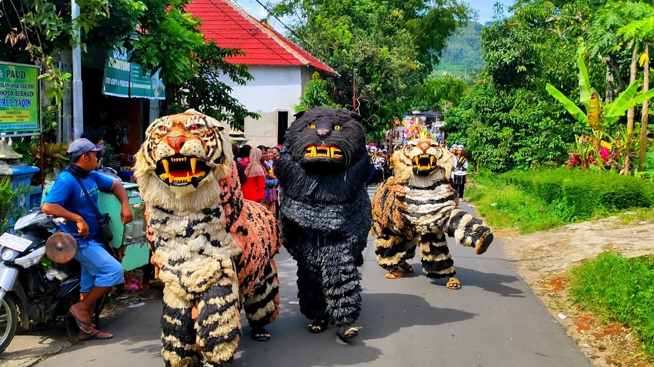 KIRAB CAN MACANAN SINGO RAUNG 74 DAN DRUMBAND SUNDA KE UNDANGAN KARNAVAL DI MASKONING PART 1