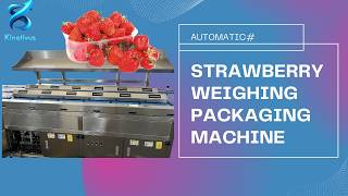 Belt Conveyor Strawberry Packing Line | Berry Checkweigher System screenshot 5