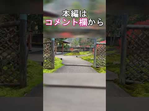 高級旅館に泊まってみた！#花紫 #旅館 #温泉旅館 #石川県 #山中温泉