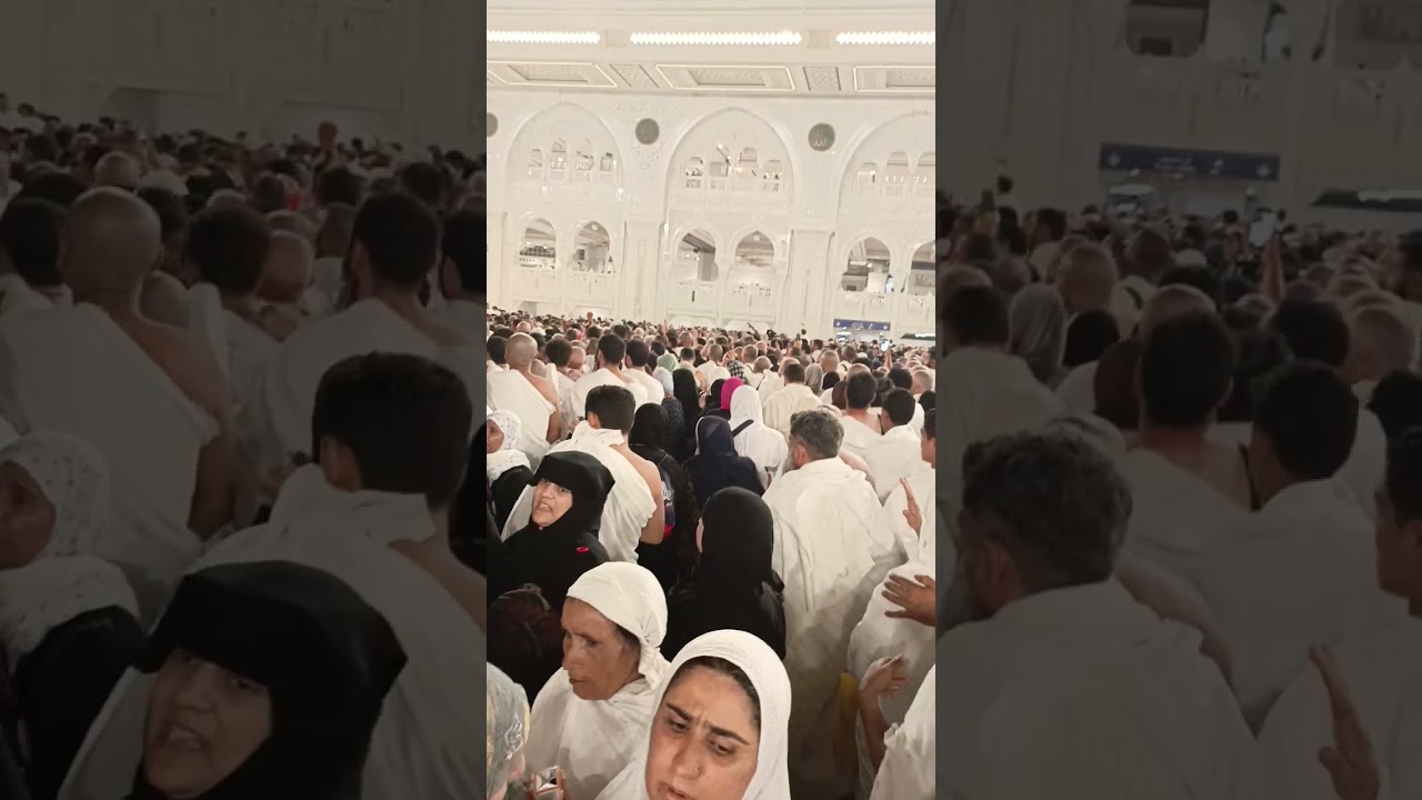 ١٠ أغسطس ٢٠٢٥