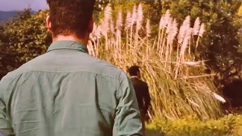 Planta emoções em fevereiro teaser #2 I ArtinVitro I Quartz /Visual lab