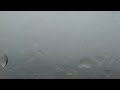 Schrafft's building roof cam weather timelapse