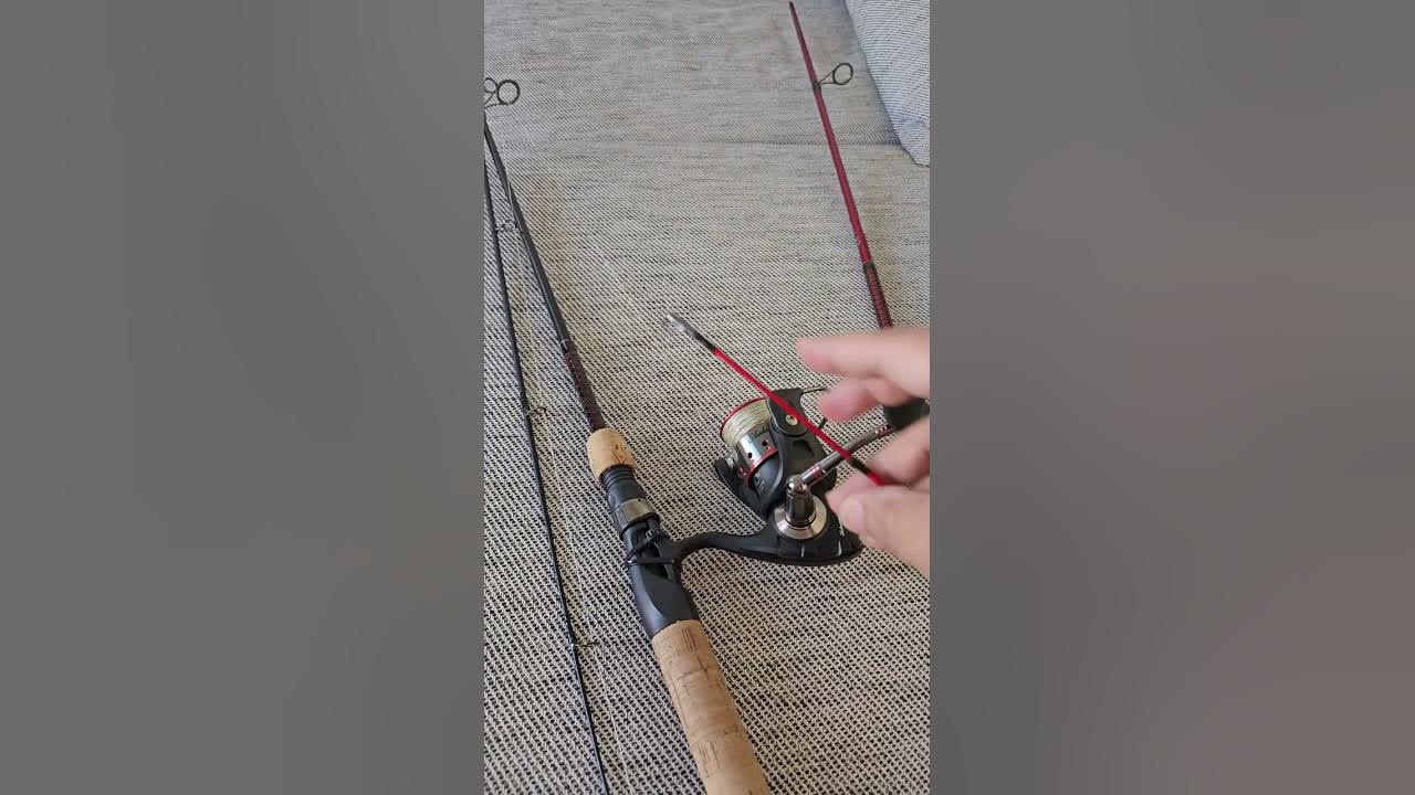 Ugly Stik Carbon vs Ugly Stik Elite. is it worth the money? 