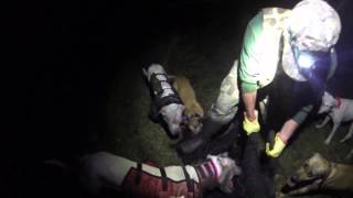 Hog Hunt- Boar - 29Dec13