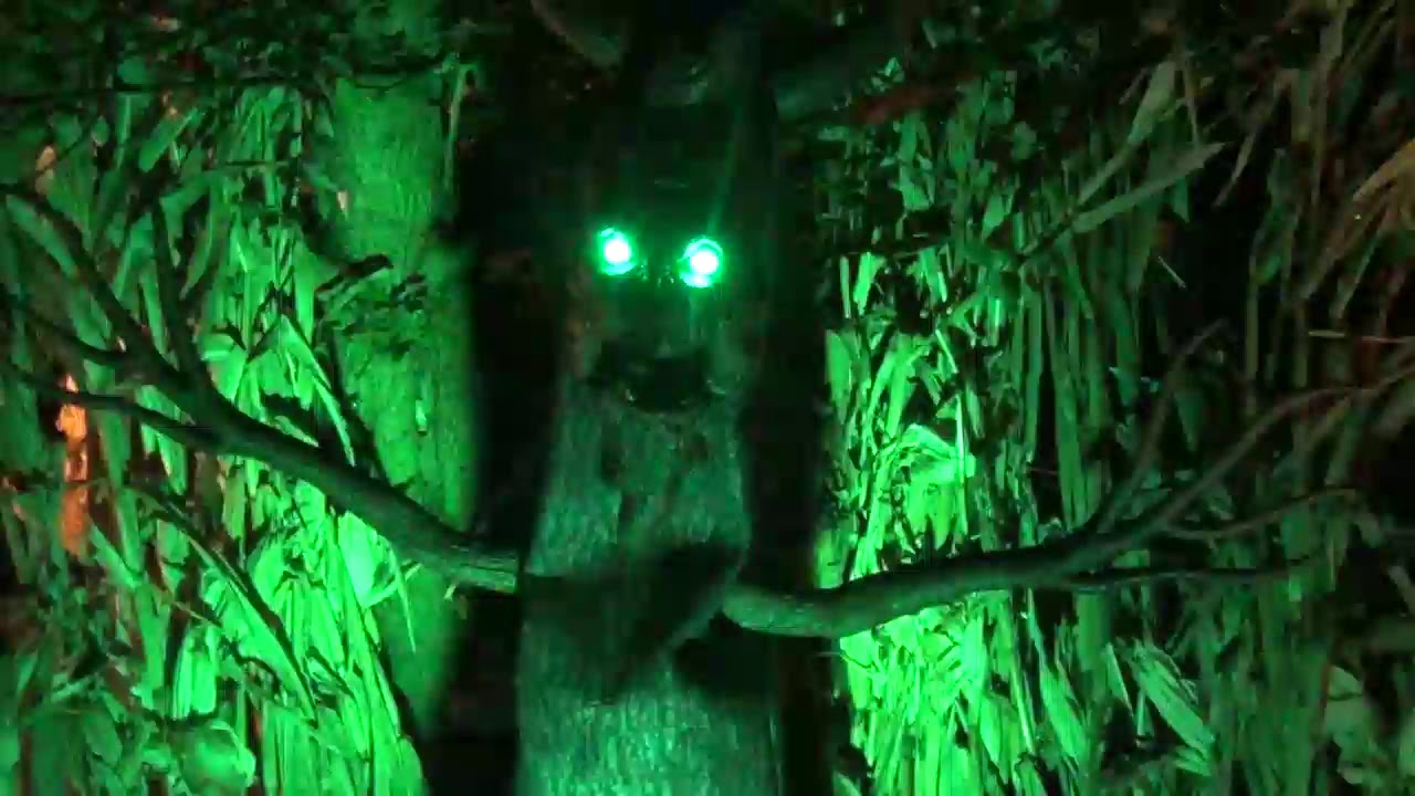 Halloween Yard Haunt 2018