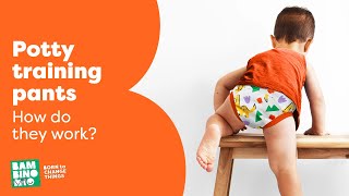 Potty training pants - how do they work