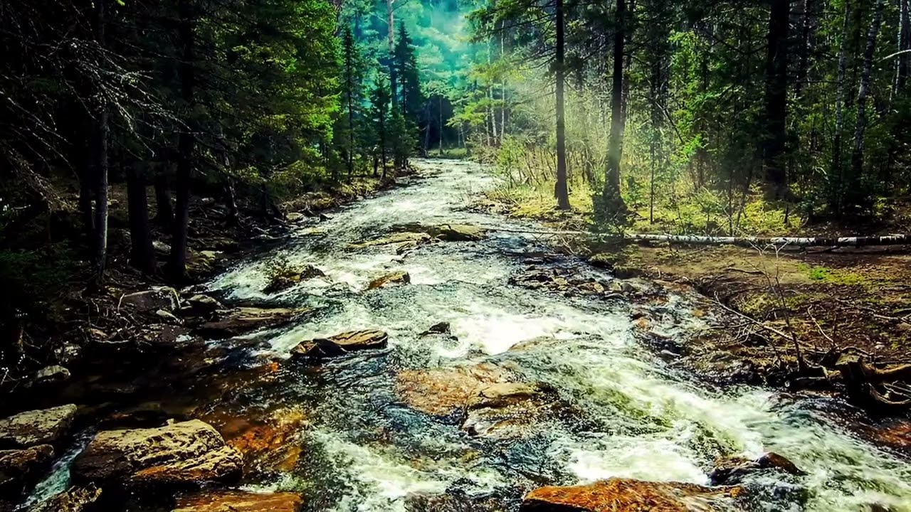 [ Corner Music ][ 30min ] 🎵晴空秋韻  Clear Sky and Autumn Charm🎵輕音樂🎵BGM🎵Studying🎵Relaxing Music🎵 (X83)