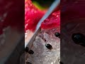 Cutting a Glass Dragon Fruit? 🐉🔪✨ | Satisfying Macro Cinematic