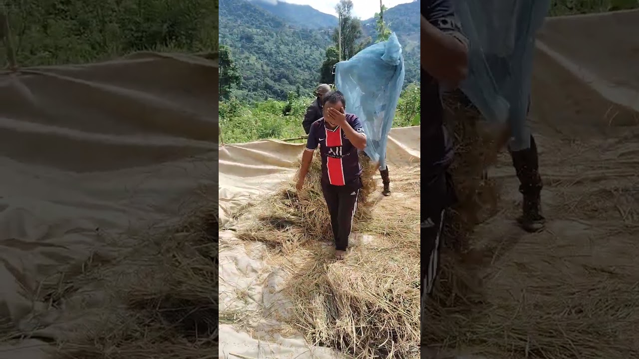 Tuni ka inn kote chang voh a ka che na video