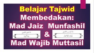 Mad Jaiz Munfashil Mad Wajib Muttasil Belajar Tajwid Youtube Mad Jaiz Munfashil Mad Wajib Muttasil Belajar Tajwid Youtube