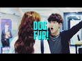 Cheese in the trap      humor  troublemaker