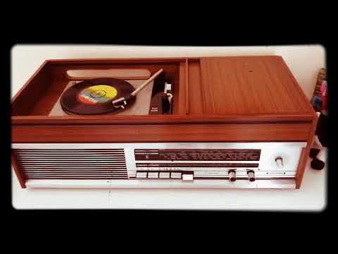 Neşet Ertaş - Hasta Düştüm Kimse Sormaz Halimi (Ara ver dağlar ara ver)