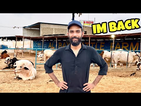 Im Back After a Long Break♥️ | 2 Beautiful New Entries😍 | Saray Bachay Reveal Kardeye😍
