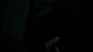 ngentup tawon emng asik