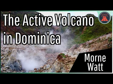 Video: Unde este activitatea magmatică?