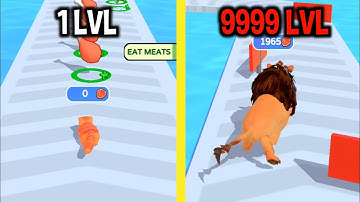 MAX LEVEL in Cat Evolution Game New Update