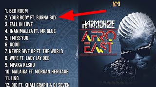 Huuapa Wimbo ulo Fanya Album YA hamonaiz YA Afro east kufutwa you tube