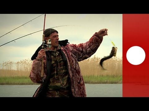 Video: Che Pesce Nel Volga