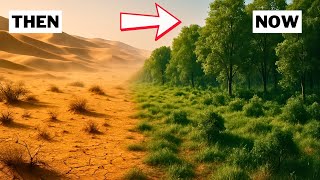 The $1.5 Trillion Plan to Turn the Desert into Lush Green Forest