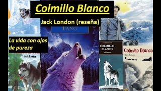 Reseña Colmillo Blanco Jack London Booktube Argentina Booktubers Argentinos