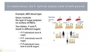 Genetics Module 6 Video #1 Extensions of Mendelian genetics