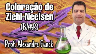 COLORAÇÃO DE ZIEHL-NEELSEN (BAAR) - PROF. ALEXANDRE FUNCK