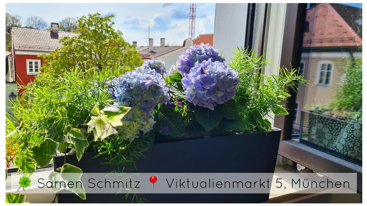Samen Schmitz, München (Viktualienmarkt) Blumenkasten