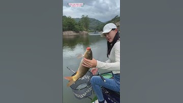 em cần thủ xinh đẹp gặp anh chủ hồ mê gái xinh và cái kết  #fishing #cauca #xuhuong#giaitri #short