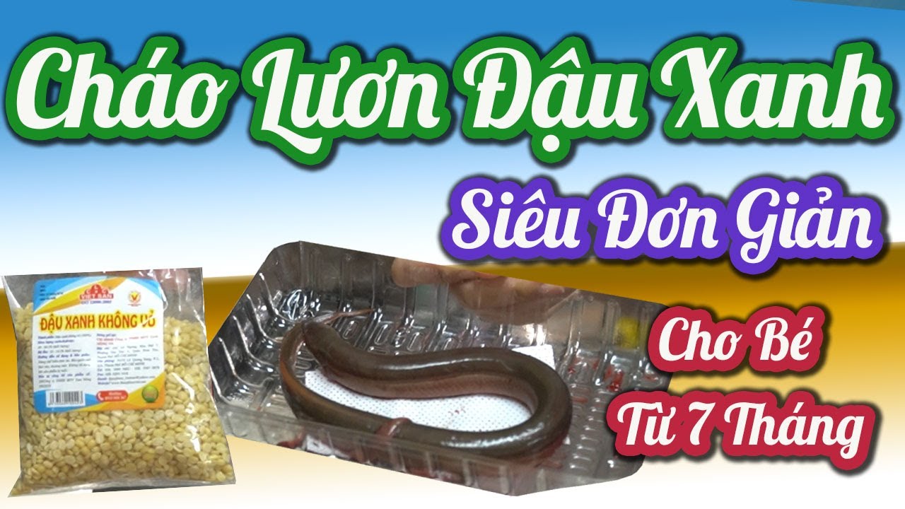 Hướng dẫn Cách nấu cháo lươn – Cháo Dinh Dưỡng Lươn Đậu Xanh Cho Trẻ Ăn Dặm Bằng Nồi Nấu Cháo Điện # chaotruyenthong #beandam